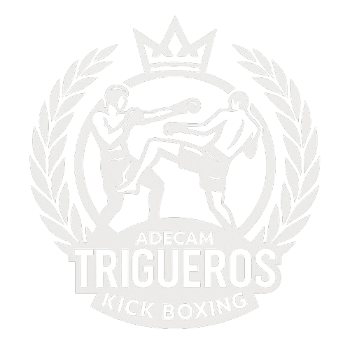 ADECAM Logo